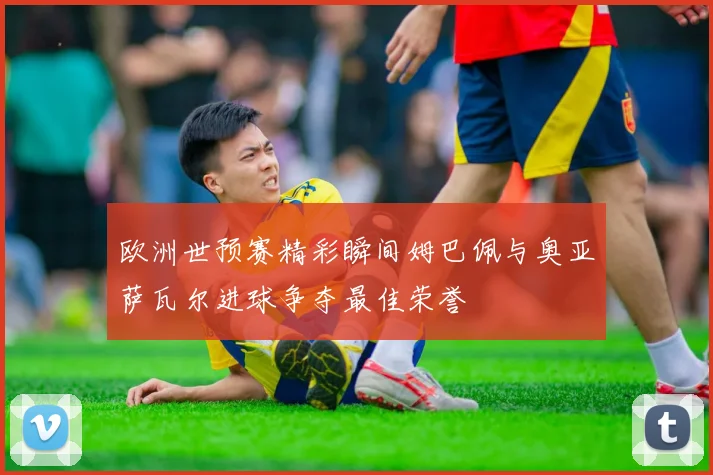 欧洲世预赛精彩瞬间姆巴佩与奥亚萨瓦尔进球争夺最佳荣誉